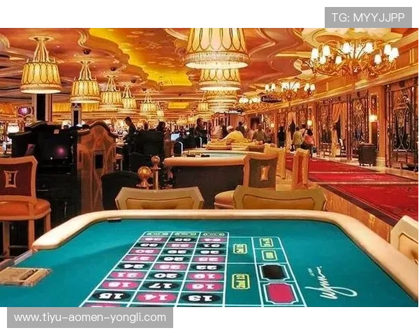 澳门哪个赌场比较好,豪华环境与高端服务的最佳选择指南