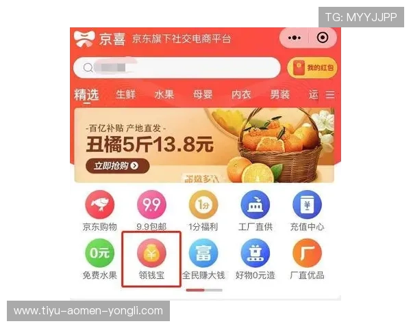 上蒲京官网充值方式多样化及快速到账操作指南