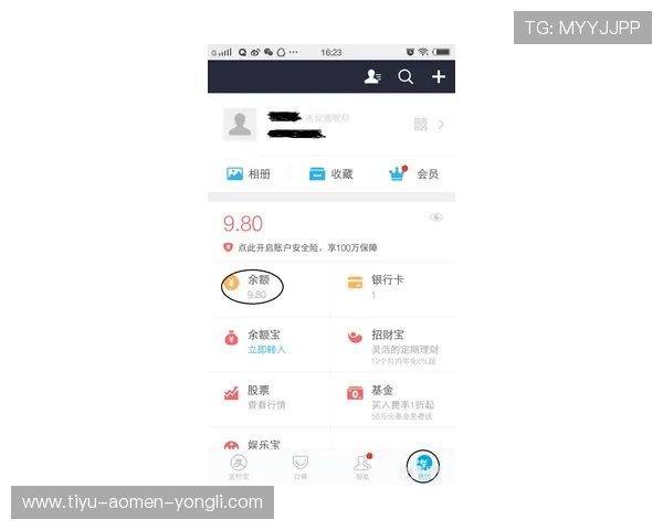 巴黎人网官网用户指南，详细介绍账户管理、充值提现及游戏玩法技巧，助力玩家轻松上手